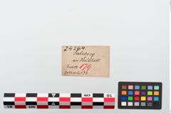 Etiketten zu Kugelkopfnadel (NHMW-PRAE-024264)